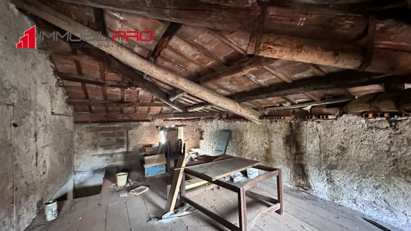 Proponiamo in vendita un'interessante soluzione immobiliare composta da più unità abitative, gara...