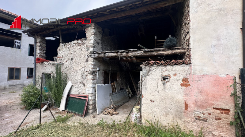 Proponiamo in vendita un'interessante soluzione immobiliare composta da più unità abitative, gara...