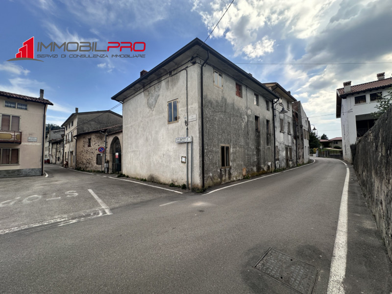 Proponiamo in vendita un'interessante soluzione immobiliare composta da più unità abitative, gara...