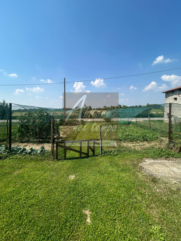 PIZZOLA SUL BRENTA (PD) - LOCALITA' PRESINA

Proponiamo in vendita in un lotto di mq. 3.500 una c...