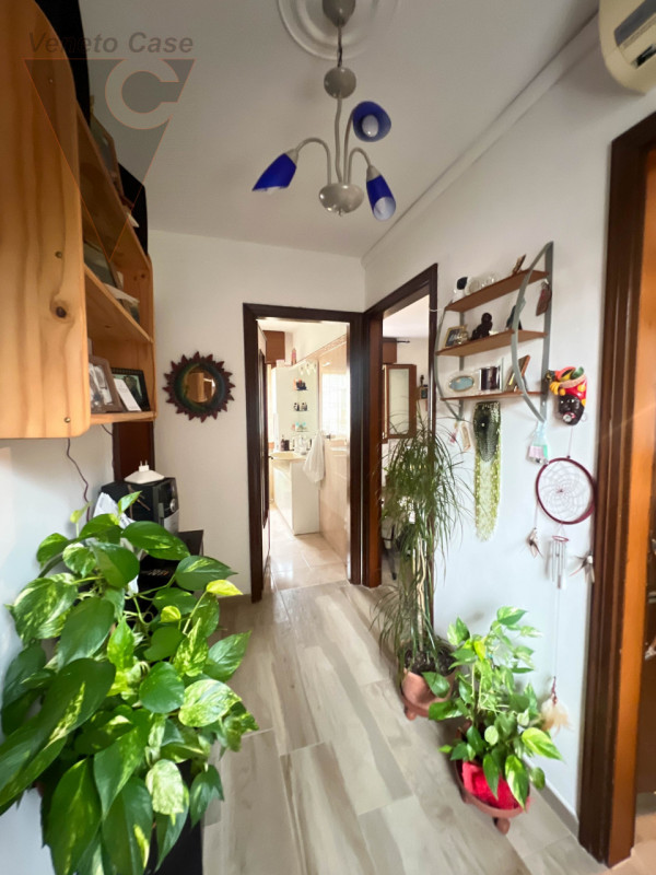 Nel centro storico di Adria, proponiamo in vendita un appartamento situato al primo piano di una ...