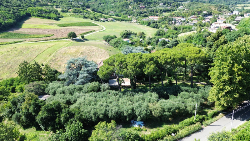 Nel cuore dei Colli Euganei, a pochi passi dal centro storico di Teolo, proponiamo in vendita un’...