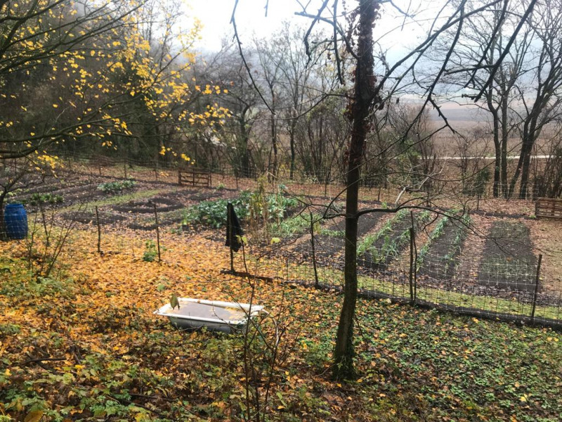 Nel comune di Arcugnano, in una posizione riservata e immersa nel verde dei suggestivi Colli Beri...
