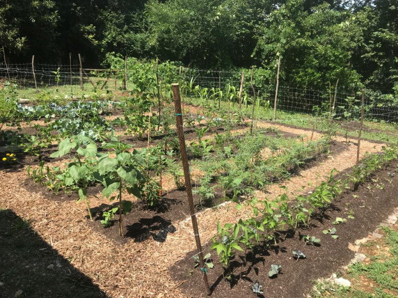 Nel comune di Arcugnano, in una posizione riservata e immersa nel verde dei suggestivi Colli Beri...