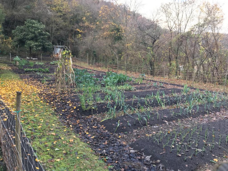 Nel comune di Arcugnano, in una posizione riservata e immersa nel verde dei suggestivi Colli Beri...