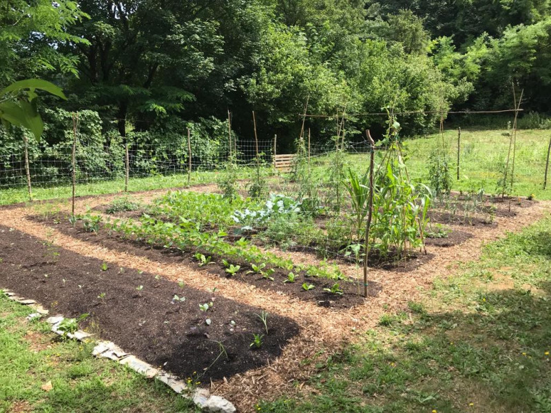 Nel comune di Arcugnano, in una posizione riservata e immersa nel verde dei suggestivi Colli Beri...