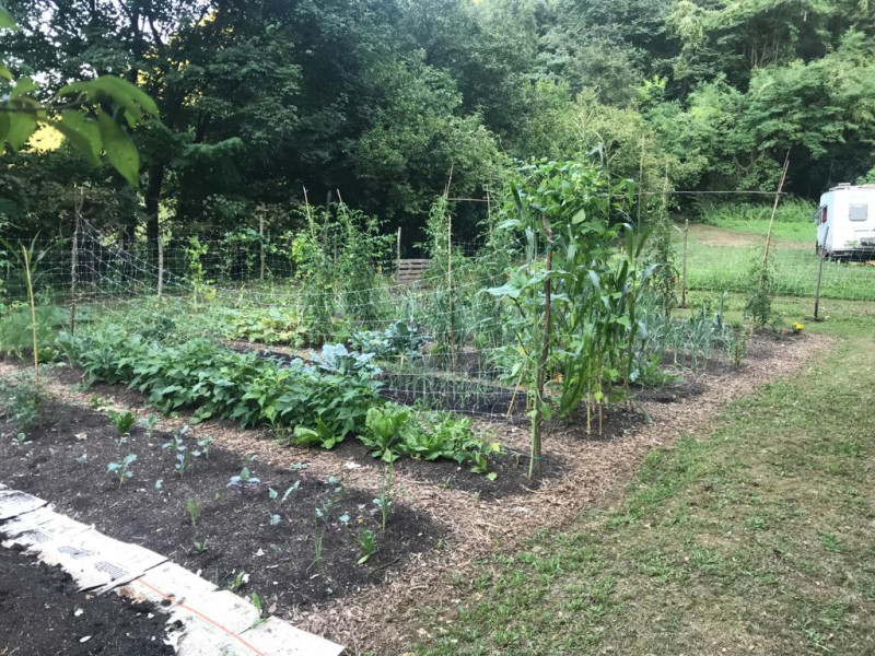 Nel comune di Arcugnano, in una posizione riservata e immersa nel verde dei suggestivi Colli Beri...
