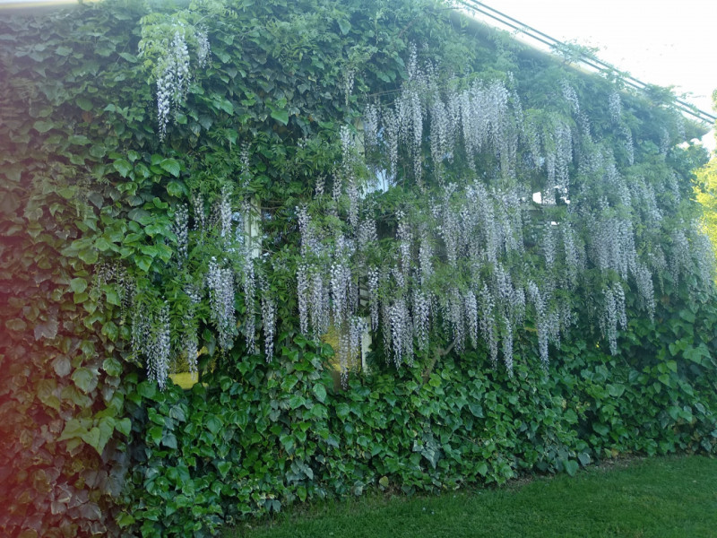 Ti piacerebbe intraprendere attività di affitta camere o bed and breakfast?

A Correzzola nella f...