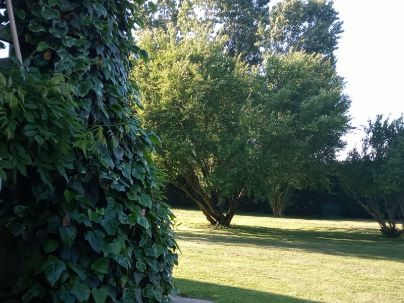 Ti piacerebbe intraprendere attività di affitta camere o bed and breakfast?

A Correzzola nella f...