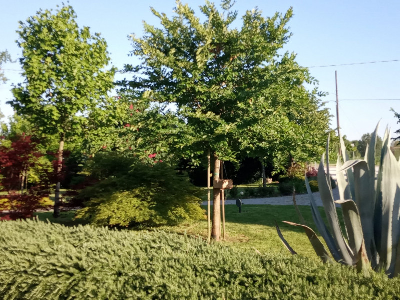 Ti piacerebbe intraprendere attività di affitta camere o bed and breakfast?

A Correzzola nella f...