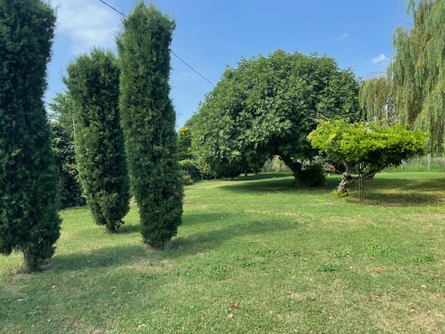 Ti piacerebbe intraprendere attività di affitta camere o bed and breakfast?

A Correzzola nella f...