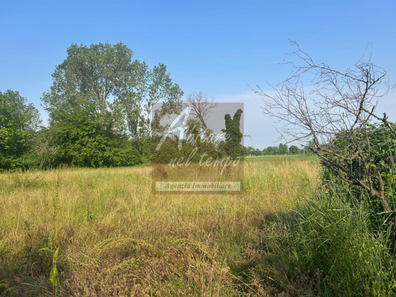 SAN GIORGIO IN BOSCO (PD)

In nostra esclusiva proponiamo in vendita un rustico immerso nel verde...