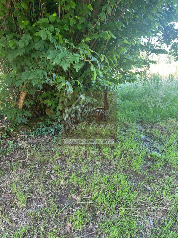 SAN GIORGIO IN BOSCO (PD)

In nostra esclusiva proponiamo in vendita un rustico immerso nel verde...