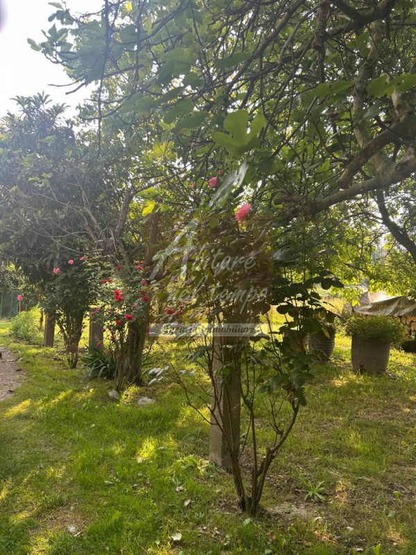 SAN GIORGIO IN BOSCO (PD)

In nostra esclusiva proponiamo in vendita un rustico immerso nel verde...