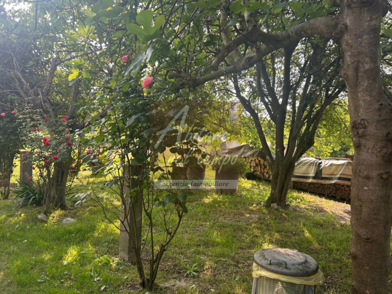 SAN GIORGIO IN BOSCO (PD)

In nostra esclusiva proponiamo in vendita un rustico immerso nel verde...
