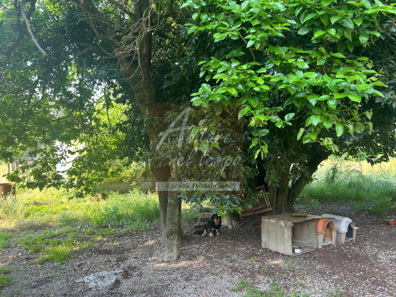 SAN GIORGIO IN BOSCO (PD)

In nostra esclusiva proponiamo in vendita un rustico immerso nel verde...
