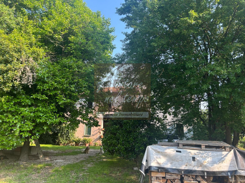 SAN GIORGIO IN BOSCO (PD)

In nostra esclusiva proponiamo in vendita un rustico immerso nel verde...