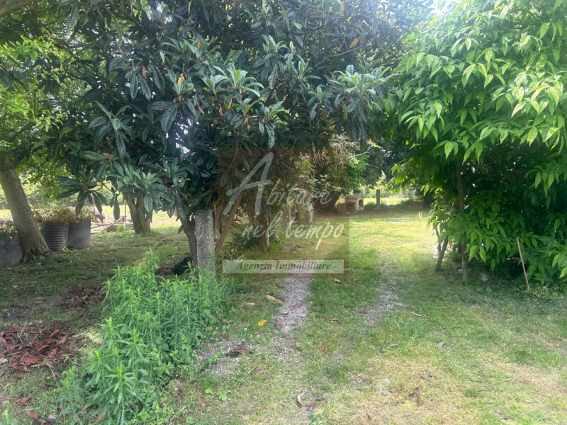 SAN GIORGIO IN BOSCO (PD)

In nostra esclusiva proponiamo in vendita un rustico immerso nel verde...