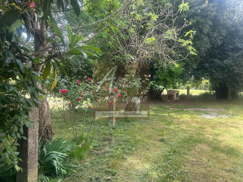SAN GIORGIO IN BOSCO (PD)

In nostra esclusiva proponiamo in vendita un rustico immerso nel verde...