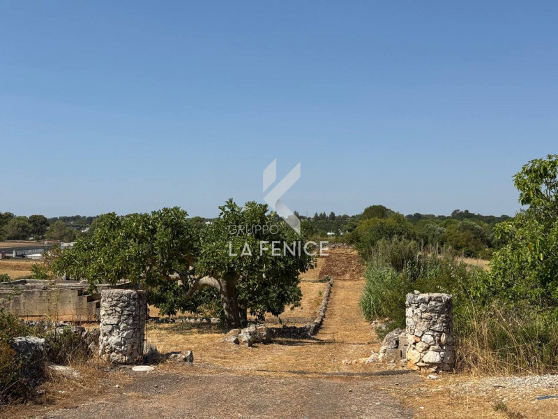 Martina Franca Vendita Terreno terreno edificabile residenziale