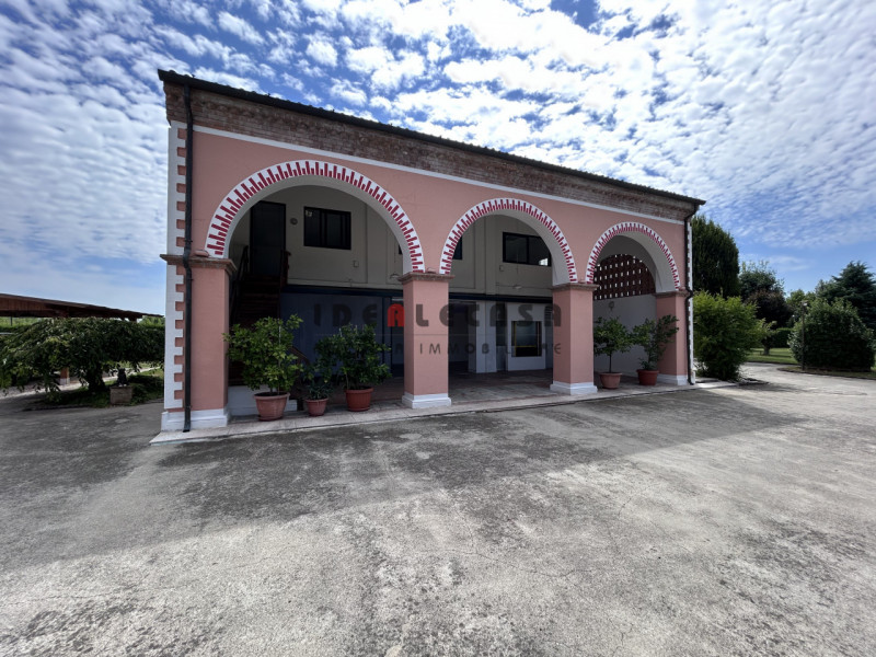 San Giorgio in Bosco Vendita Capannone