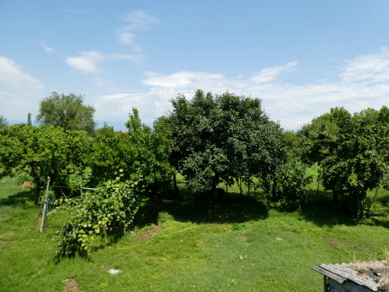 VIGARDOLO: VENDESI AFFASCINANTE CASA DI CAMPAGNA DA RISTRUTTURARE - Rif. 8273

In Località Vigard...