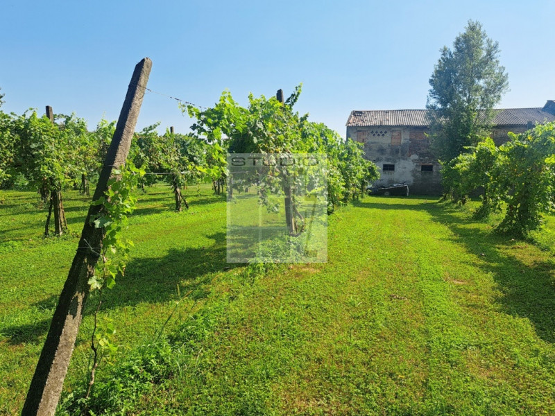 Proponiamo in vendita soluzione di RUSTICO sviluppato su due livelli.
L'immobile è circondato da ...