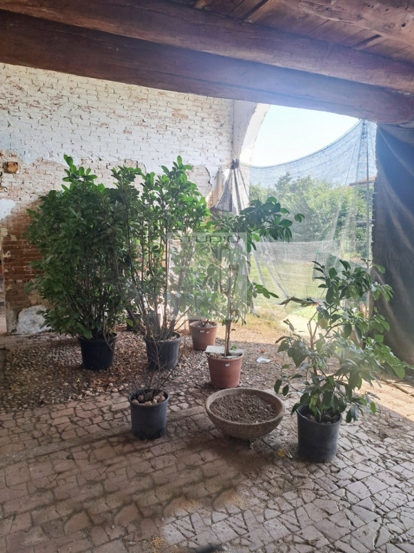 Proponiamo in vendita soluzione di RUSTICO sviluppato su due livelli.
L'immobile è circondato da ...