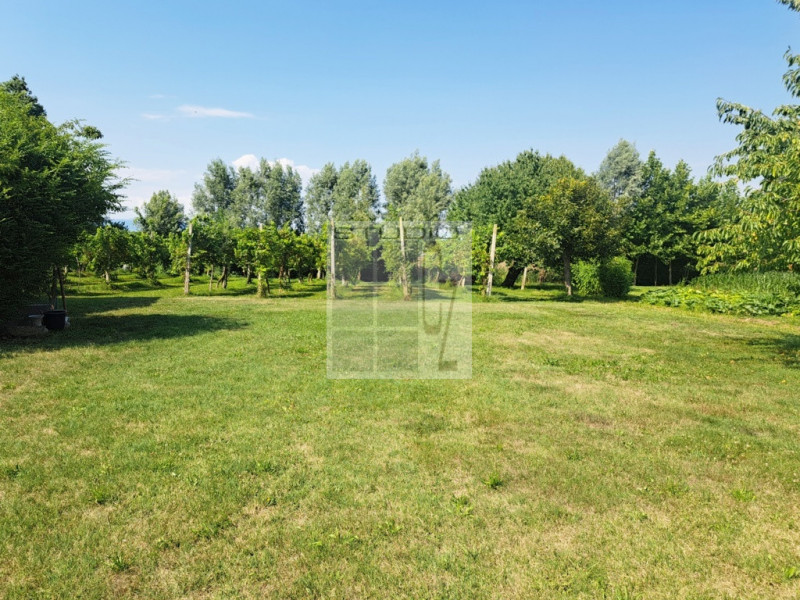 Proponiamo in vendita soluzione di RUSTICO sviluppato su due livelli.
L'immobile è circondato da ...