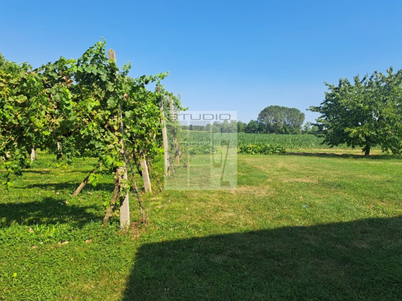 Proponiamo in vendita soluzione di RUSTICO sviluppato su due livelli.
L'immobile è circondato da ...