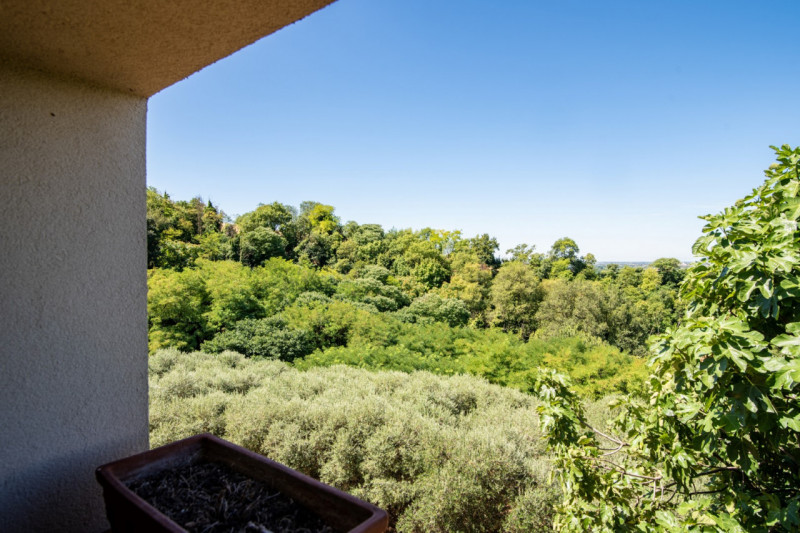 In una delle cornici più suggestive dei Colli Euganei, a Lozzo Atestino nella tranquilla e verdeg...