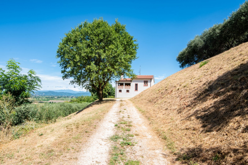In una delle cornici più suggestive dei Colli Euganei, a Lozzo Atestino nella tranquilla e verdeg...