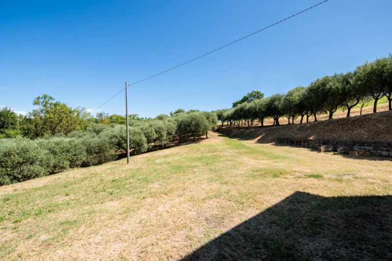 In una delle cornici più suggestive dei Colli Euganei, a Lozzo Atestino nella tranquilla e verdeg...