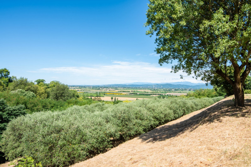 In una delle cornici più suggestive dei Colli Euganei, a Lozzo Atestino nella tranquilla e verdeg...