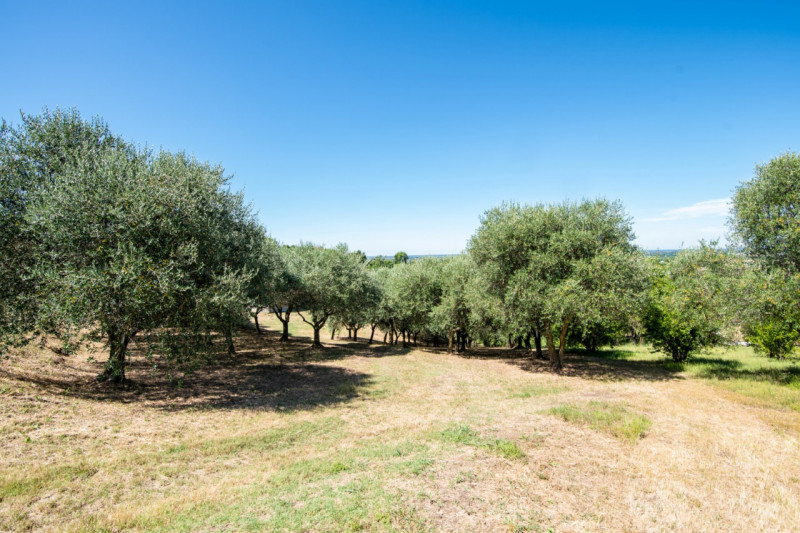 In una delle cornici più suggestive dei Colli Euganei, a Lozzo Atestino nella tranquilla e verdeg...