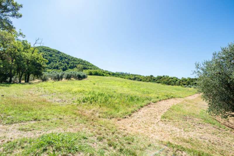 In una delle cornici più suggestive dei Colli Euganei, a Lozzo Atestino nella tranquilla e verdeg...