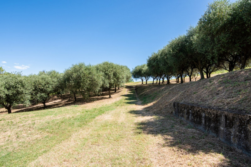 In una delle cornici più suggestive dei Colli Euganei, a Lozzo Atestino nella tranquilla e verdeg...