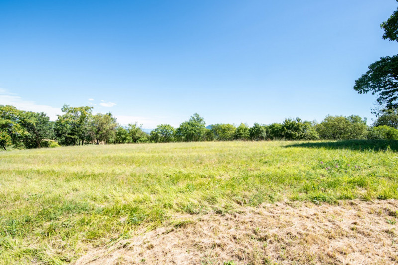 In una delle cornici più suggestive dei Colli Euganei, a Lozzo Atestino nella tranquilla e verdeg...