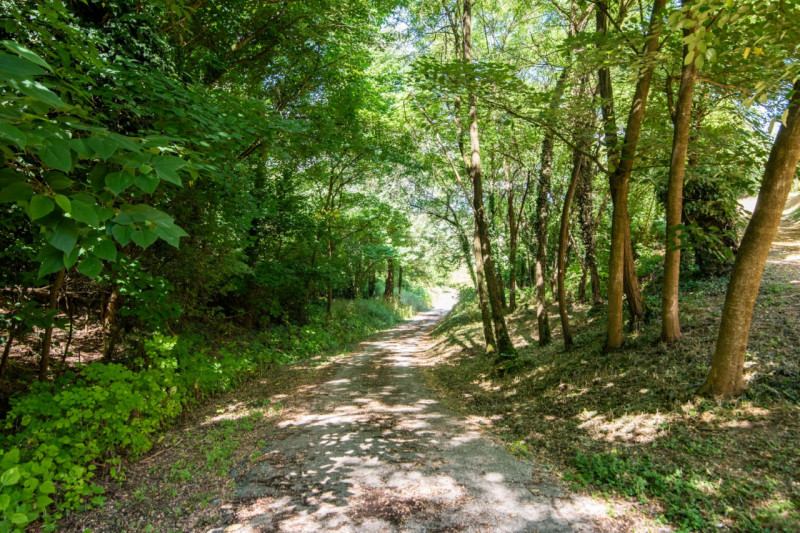 In una delle cornici più suggestive dei Colli Euganei, a Lozzo Atestino nella tranquilla e verdeg...
