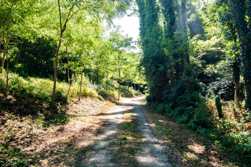 In una delle cornici più suggestive dei Colli Euganei, a Lozzo Atestino nella tranquilla e verdeg...