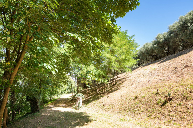 In una delle cornici più suggestive dei Colli Euganei, a Lozzo Atestino nella tranquilla e verdeg...