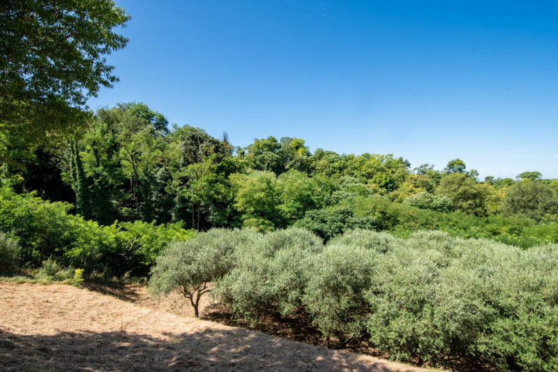 In una delle cornici più suggestive dei Colli Euganei, a Lozzo Atestino nella tranquilla e verdeg...