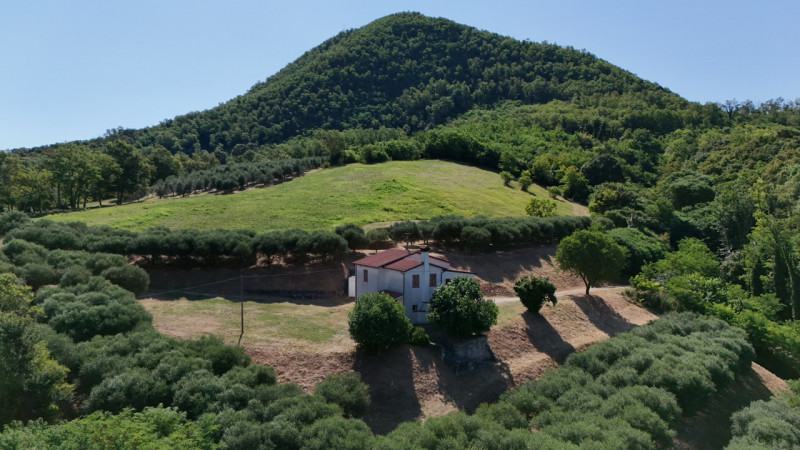 In una delle cornici più suggestive dei Colli Euganei, a Lozzo Atestino nella tranquilla e verdeg...
