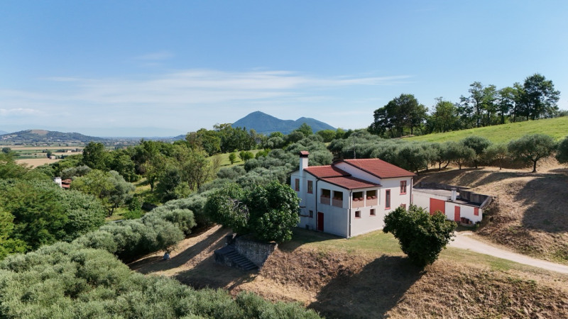 In una delle cornici più suggestive dei Colli Euganei, a Lozzo Atestino nella tranquilla e verdeg...
