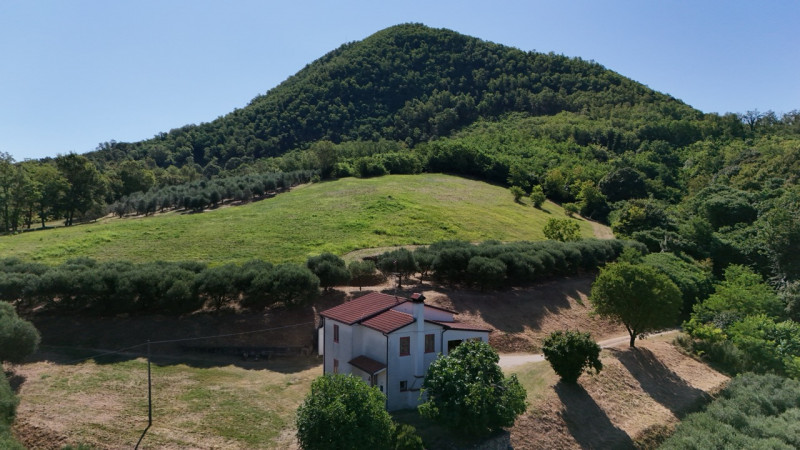 In una delle cornici più suggestive dei Colli Euganei, a Lozzo Atestino nella tranquilla e verdeg...
