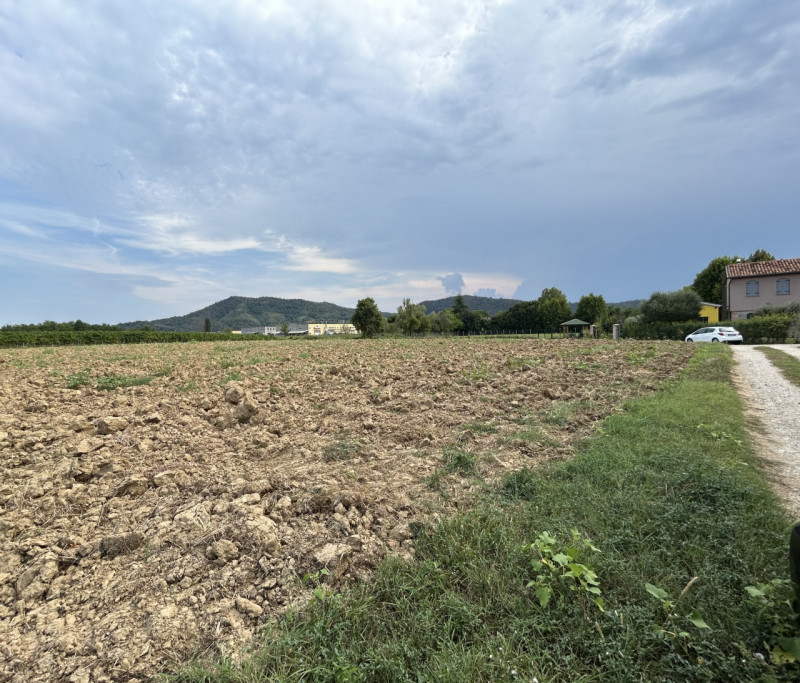 TORREGLIA – AMPIO TERRENO AGRICOLO IN POSIZIONE PANORAMICA

Nel cuore della splendida campagna ve...