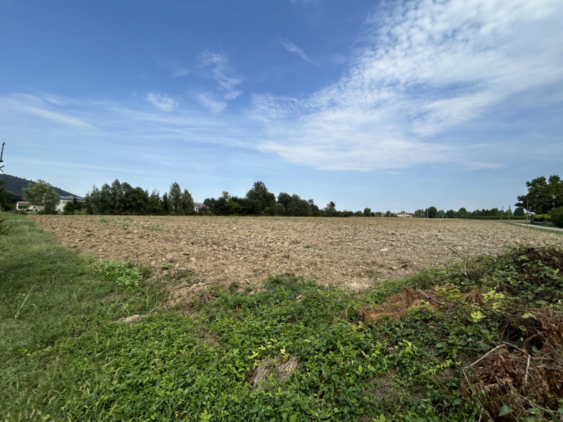 TORREGLIA – AMPIO TERRENO AGRICOLO IN POSIZIONE PANORAMICA

Nel cuore della splendida campagna ve...