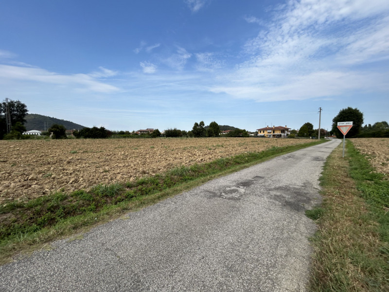 Torreglia Vendita Terreno terreno agricolo/coltura