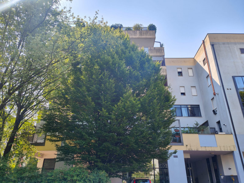 Vicenza Vendita Appartamento