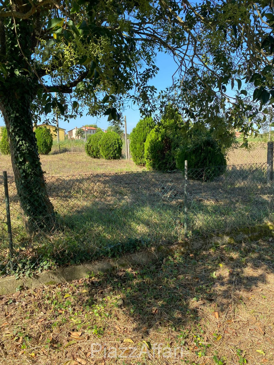 immagine annuncio 8 di 11